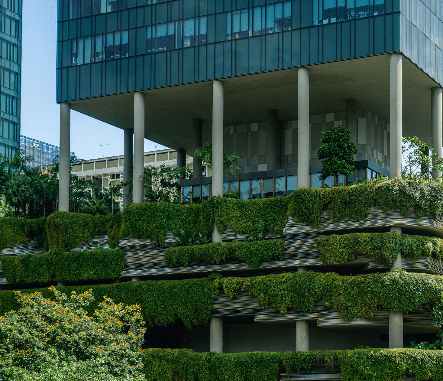 entreprise verte