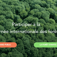 forêts